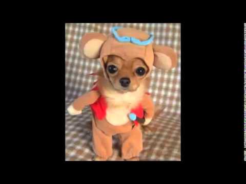 Nom Nom Nom Nom Nom Babies (PG Version)