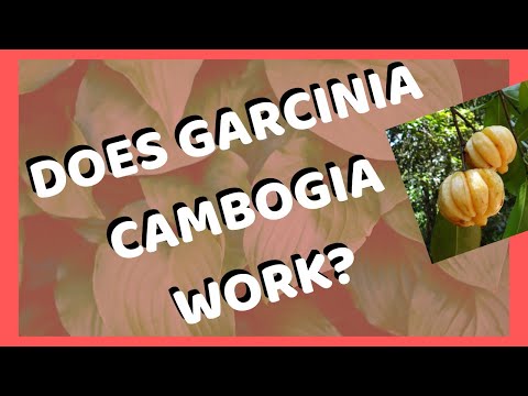 , title : 'Does Garcinia Cambogia Really Work? 🏠 [TRUTH]  About Garcinia Cambogia'