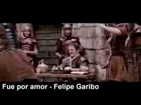 Fue por amor-Felipe  Garibo