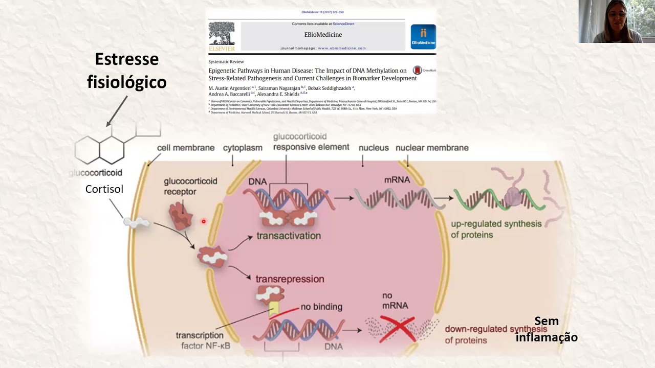 Aula epigenética do desenvolvimento  programação fetal e cuidados gestacionais parte 2