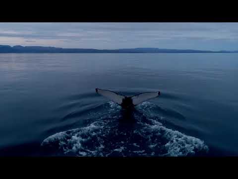 La pianista soriana María Parra publica en plataformas digitales su reciente composición Be water