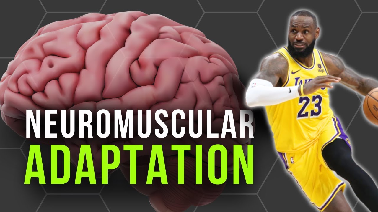 The Science of Training Your Nervous System: What Every Advanced Coach Should Know