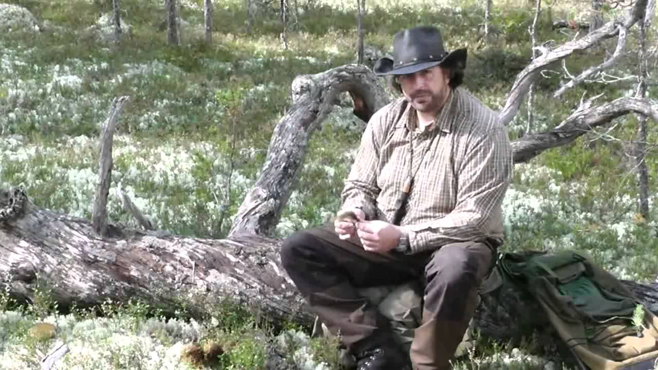 Lichens For Survival - YouTube