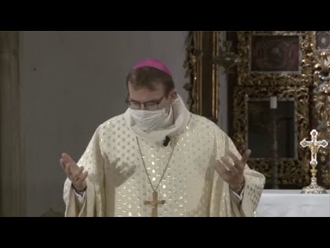 Evangelium a kázání plzeňského biskupa Tomáše Holuba | Velikonoční vigilie 2020