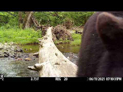 2021 Video Contest - Yauna Gleixner, Pennsylvania