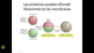 Biomembranas (Parte 2) - Biología Celular y Tisular