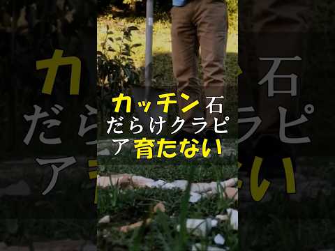 盛り上がった菜園コンテナを作るには、ゆるい土壌が不足し、もろくなり、肥沃なガーデニングが幸せになります。バルコニーテラス