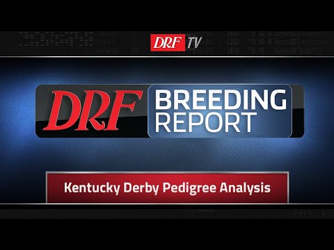 DRF Breeding Report - Kentucky Derby Pedigree Analysis