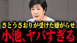 【小池百合子】※過去さとうさおりが受けた嫌がらせがヤバすぎる...【小池都知事/都議会/カイロ大学/学歴詐称疑惑】