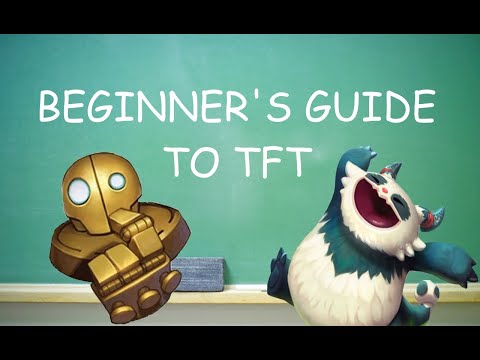 The Only BEGINNER'S Guide to Teamfight Tactics YOU'LL EVER NEED