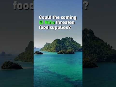 Could a powerful El Niño threaten global food supplies?