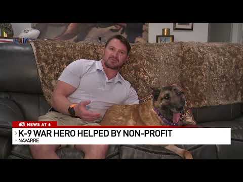 Meet Layka: The K-9 War Hero