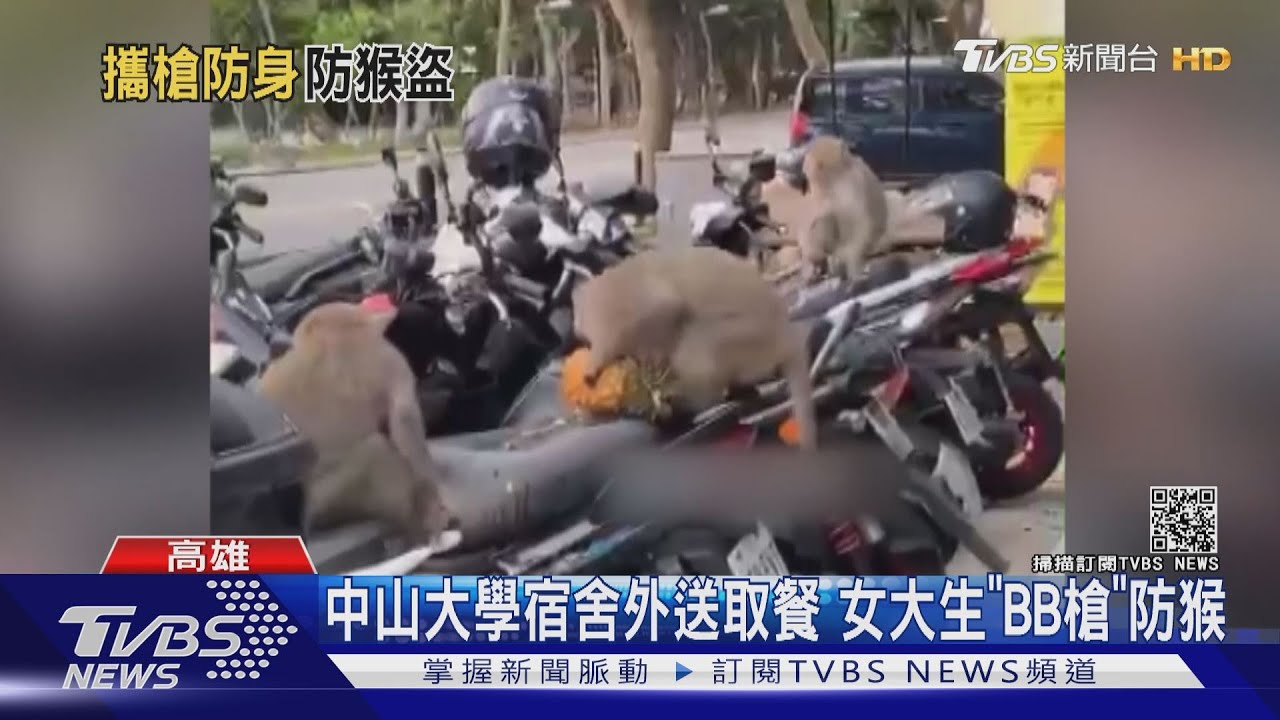 中山大學的日常？女大生宿舍門口持BB槍　防獼猴搶食物