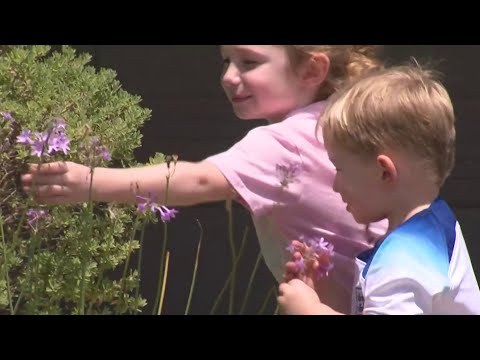 Tips For Home Allergy Prevention
