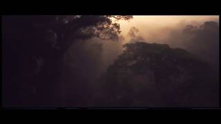 Bones – TimTheToolmanTaylor Перевод Русские субтитры