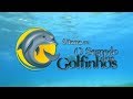 #365DiasComEliana | Eliana em O Segredo dos Golfinhos - Trailer oficial