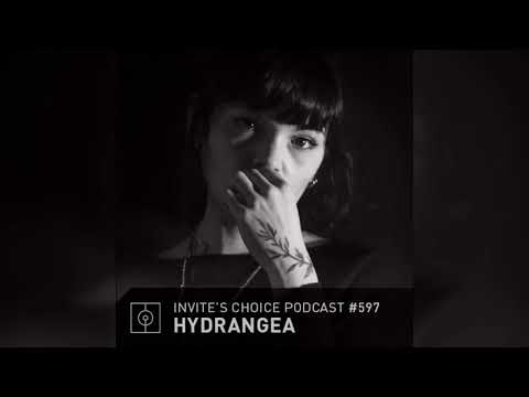 Invite's Choice Podcast 597 - Hydrangea