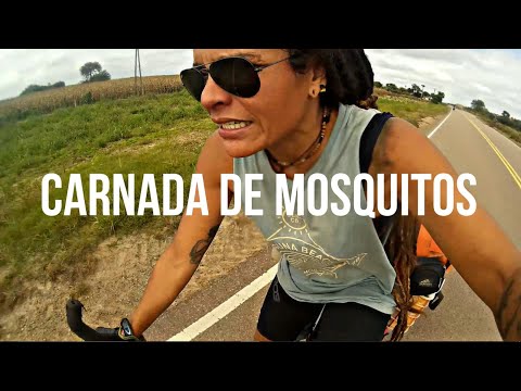 Atravesando nubes de MOSQUITOS⚡llegamos a las Arrias en CORDOBA [para PARAGUAY en BICI]🎬Episodio 33