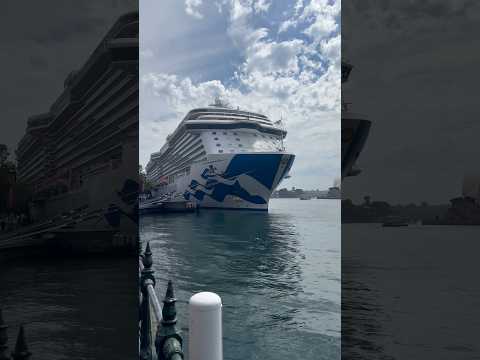 Thumbnail for Inspection of Royal Princess in Sydney featuring Love Boat cast member Jill Whelan #shorts #cruise