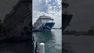 Inspection of Royal Princess in Sydney featuring Love Boat cast member Jill Whelan #shorts #cruise