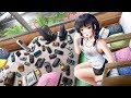 Jax Jones – Ring Ring - Bootleg Remix (Nightcore) Jax Jones – Ring Ring - Bootleg Remix (Nightcore)