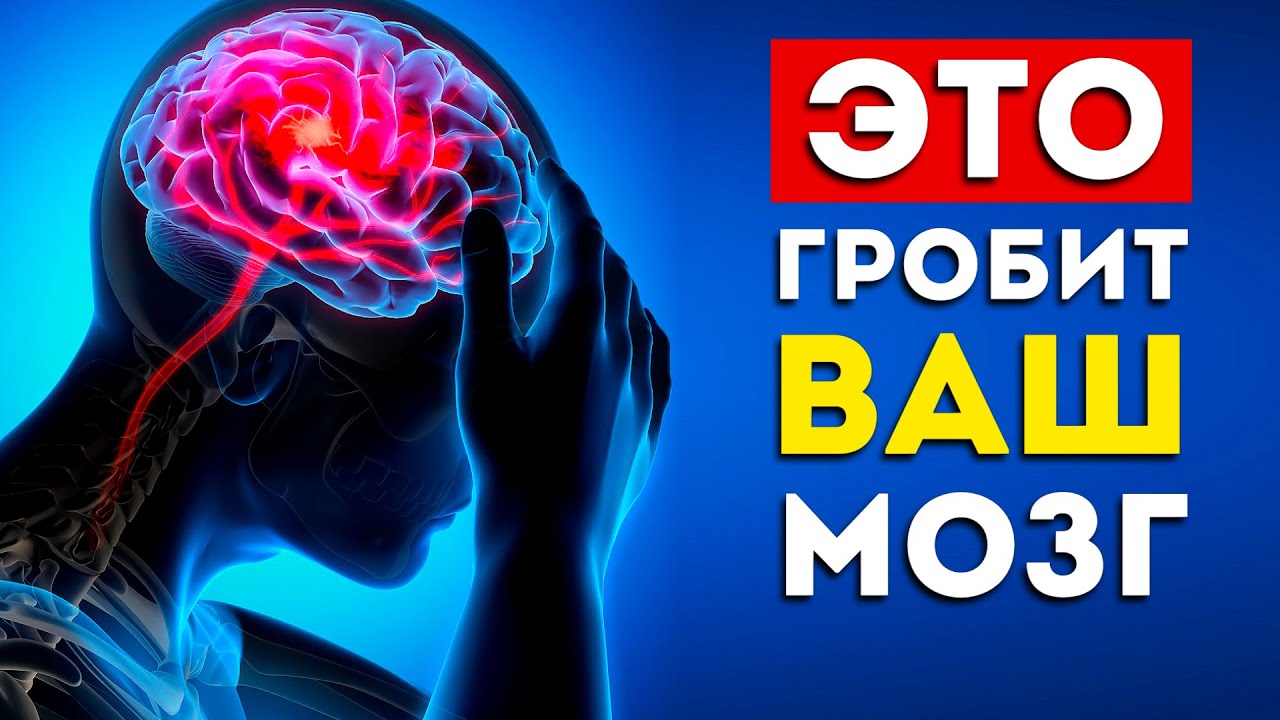 Мозг: 3 самых вредных и 4 самых полезных продукта