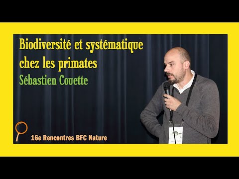 Sébastien Couette - Biodiversité et systématique chez les primates