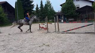 Video koně neznámé