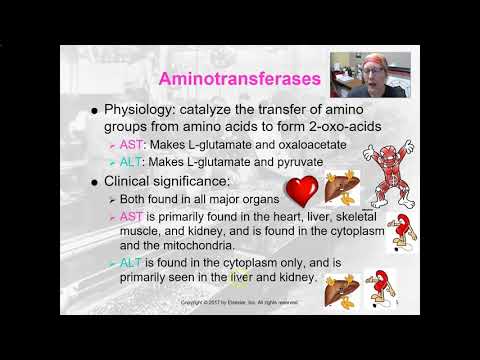 Clinical Chemistry Liver Enzymes: AST, ALT, ALP, GGT