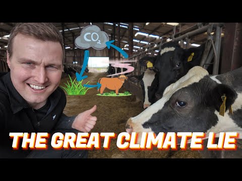 The Truth About Cows & Methane – You've Been Lied To!