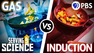 Gas vs Induction Stoves: The Heated Debate | Serving Up Scie