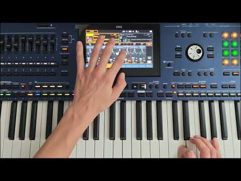 Instrumental Italo Disco & Euro Disco Style (Korg Pa5x & Danekoo1 ) 2026