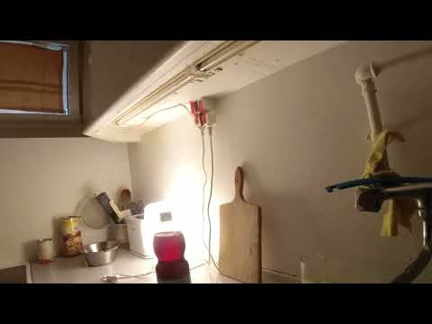 MongoTV_11123 - Vasker OP Mandag Formiddag og Blander SAFTEVAND og SNAKKER