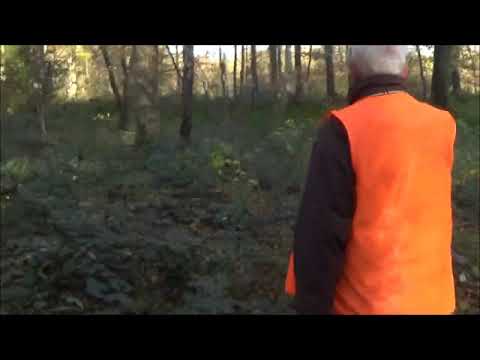 Molliens-Dreuil  Automne 2018