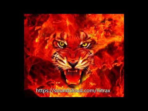 Martin Garrix - Animals (Riggi & Piros Remix) vs. Madame Buttons (The Fire Animal - Nitrax Mashup)