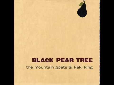 The Mountain Goats & Kaki King - Supergenesis