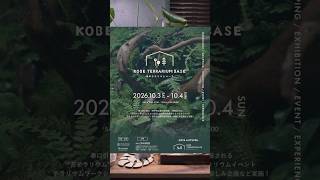 神戸TERRARIUM BASE の準備 #テラリウム #shorts