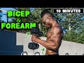 10 MINUTE LIGHTWEIGHT DUMBBELL BICEP FOREARM WORKOUT