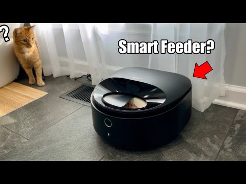 Automatic Wet Food Pet Feeder with Cooling Video Preview