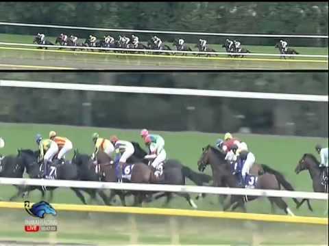 2014.11.02 Tenno Sho (Autumn) "Emperor's Prize" - Spielberg