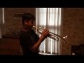 This Land Is Your Land (Trumpet cover) 