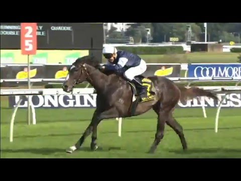 Randwick Race 7 April 9th 2016 - SYDNEY CUP