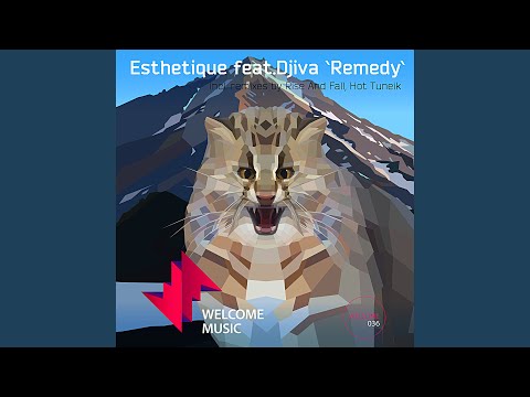 Remedy (Hot Tuneik Remix)