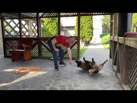 Croc - cu un exercitiu nou