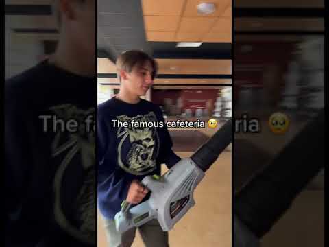 Exploring the real life amazing world of gumball school