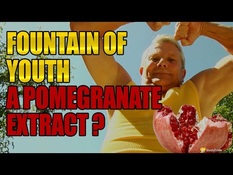 Brown punica granatum extract, powder, packaging size: 25 kg...