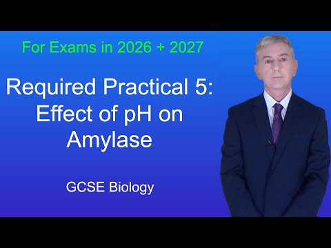 GCSE Biology Revision "Required Practical 5: Effect of pH on Amylase"