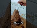 volcano 🌋 eruption on homemade volcano at 🏠home