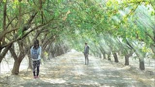 Sigues aquí - El Kaiser Rap Romántico - Prod Dj Deportado Rapper School