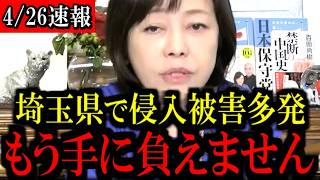 ※日本の治安が悪化しています...心して見てください...【百田尚樹/有本香/島田洋一/北村晴男/日本保守党】